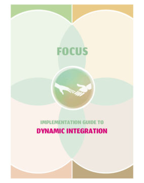 FOCUS Implementation Guide to Dynamic Integration - MHPSS Hub